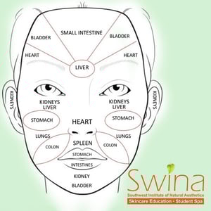 Diagram-Beauty.jpg