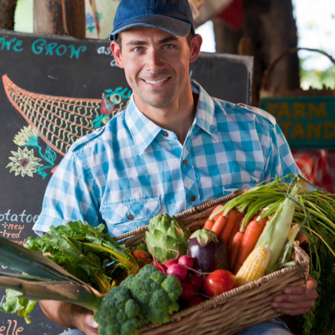 urban gardening in the health and wellness program